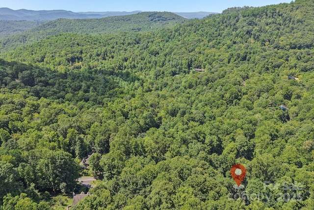 9999 Indian Falls Rd, Asheville, NC 28803 - photo 7