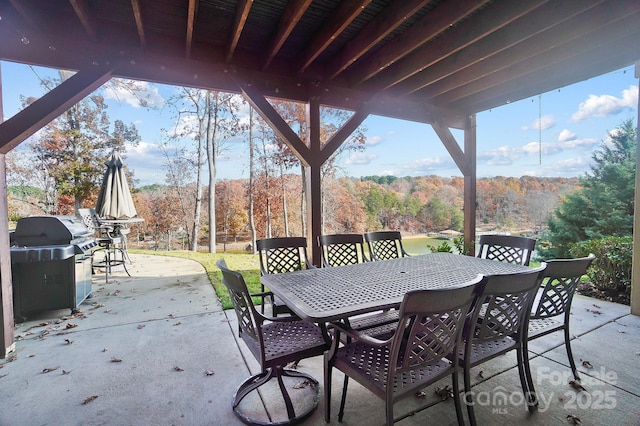226 Hermance Ln, Mooresville, NC 28117 - view of patio / terrace featuring outdoor dining area, area for grilling, and a wooded view