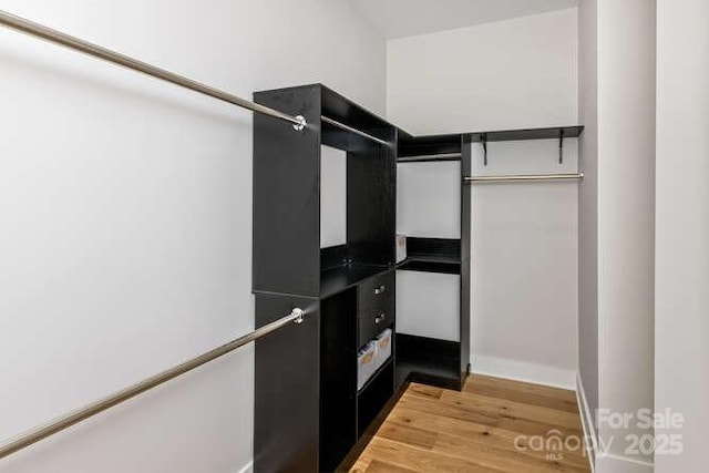 spacious closet featuring light wood finished floors