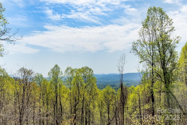 172 Sunny Ridge Rd, Hendersonville, NC 28739 - view of mountain feature featuring a forest view