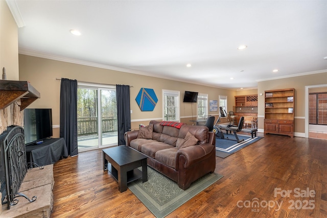 172 Sunny Ridge Rd, Hendersonville, NC 28739 - living area featuring crown molding, wood finished floors, a fireplace with raised hearth, and recessed lighting