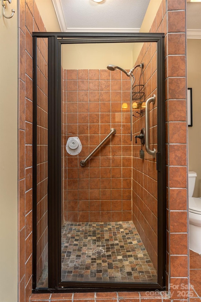 172 Sunny Ridge Rd, Hendersonville, NC 28739 - bathroom with toilet and a stall shower