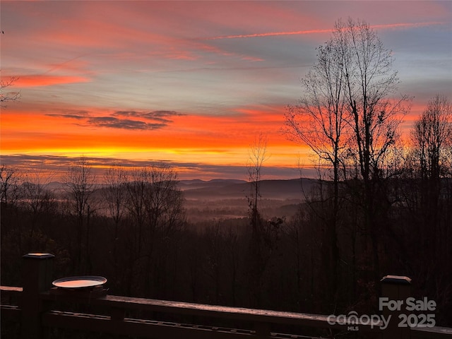 172 Sunny Ridge Rd, Hendersonville, NC 28739 - property view of mountains