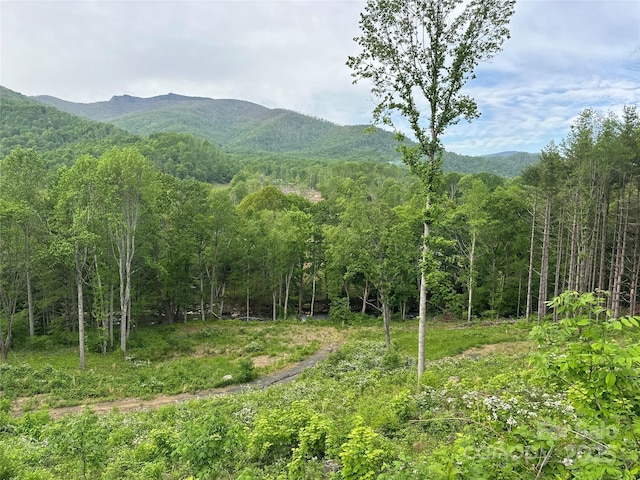000 Pumpkin Patch Rd, Bakersville, NC 28705