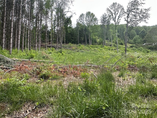000 Pumpkin Patch Rd, Bakersville, NC 28705