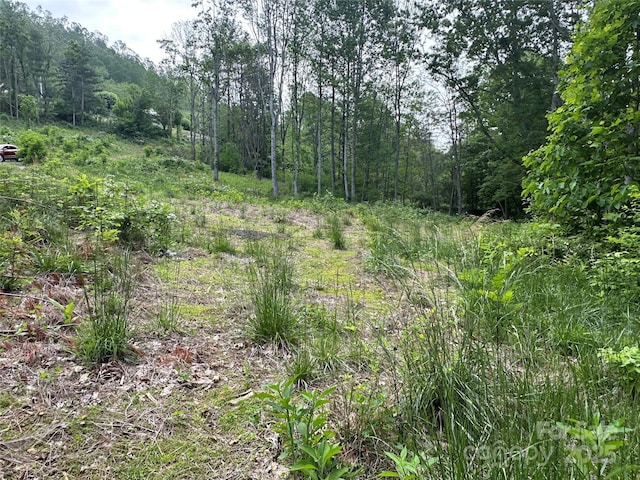 000 Pumpkin Patch Rd, Bakersville, NC 28705