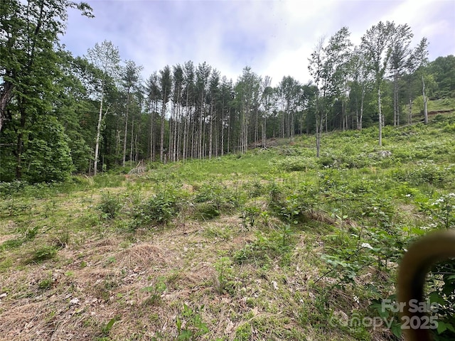 000 Pumpkin Patch Rd, Bakersville, NC 28705
