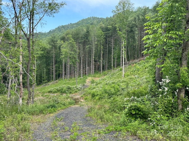 000 Pumpkin Patch Rd, Bakersville, NC 28705