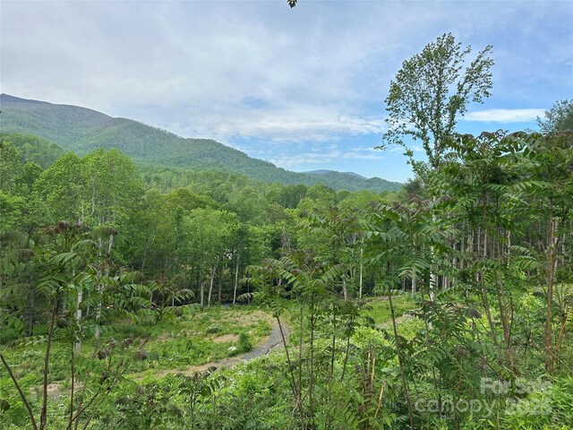 000 Pumpkin Patch Rd, Bakersville, NC 28705