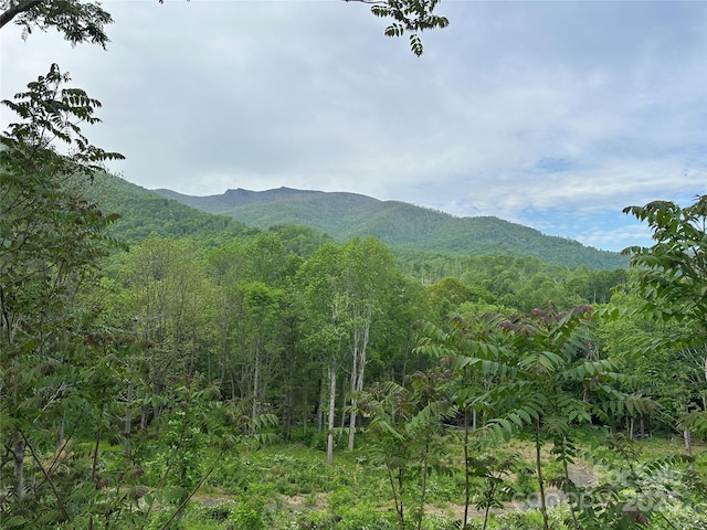 000 Pumpkin Patch Rd, Bakersville, NC 28705