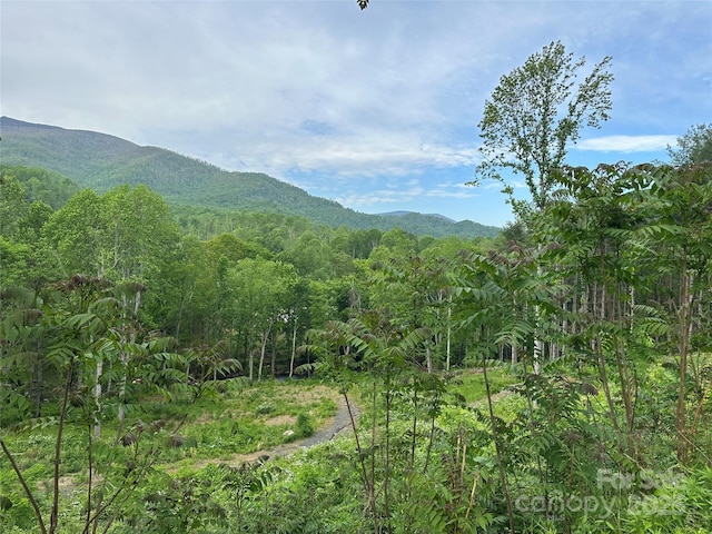 000 Pumpkin Patch Rd, Bakersville, NC 28705