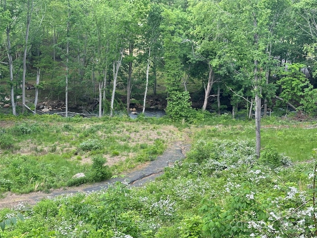000 Pumpkin Patch Rd, Bakersville, NC 28705