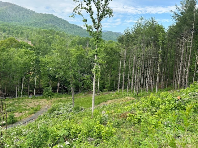 000 Pumpkin Patch Rd, Bakersville, NC 28705