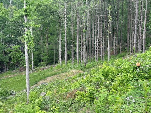 000 Pumpkin Patch Rd, Bakersville, NC 28705