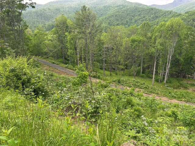 000 Pumpkin Patch Rd, Bakersville, NC 28705