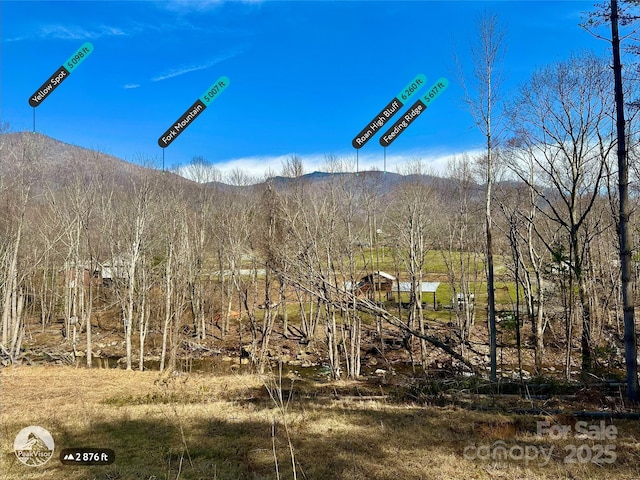 000 Pumpkin Patch Rd, Bakersville, NC 28705