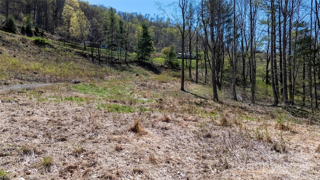 000 Pumpkin Patch Rd, Bakersville, NC 28705