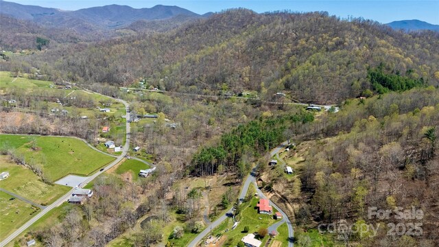 000 Pumpkin Patch Rd, Bakersville, NC 28705