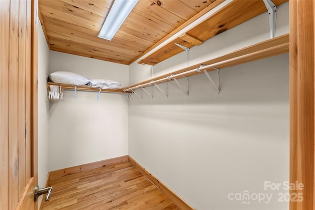 1600 Pisgah Preserve Dr, Nebo, NC 28761 - spacious closet with light wood-type flooring