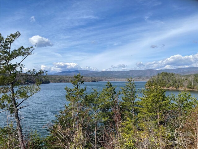 1600 Pisgah Preserve Dr, Nebo, NC 28761 - water view featuring mountains