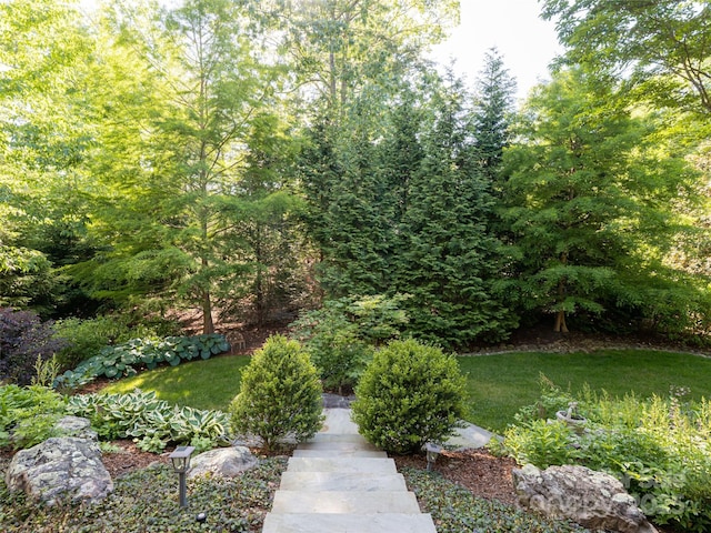 29 Croton Ct, Asheville, NC 28803 - photo 15
