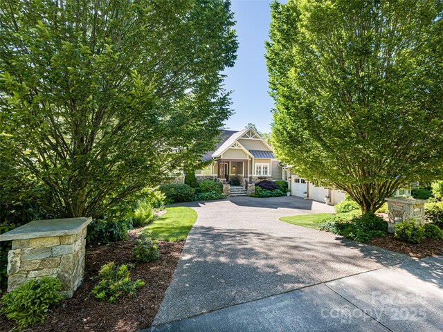 29 Croton Ct, Asheville, NC 28803 - photo 44