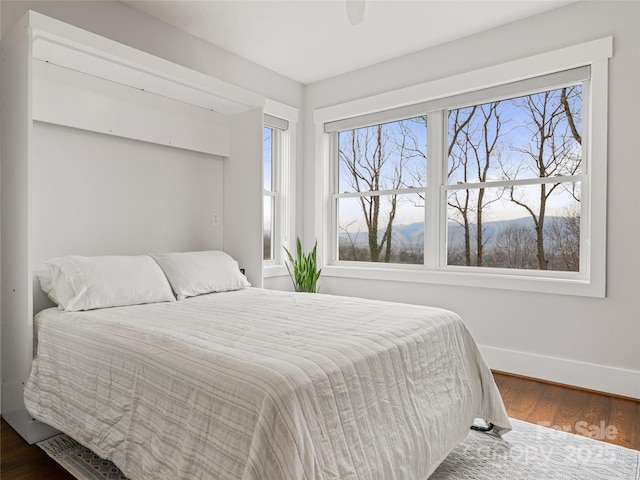 322 Windswept Dr, Asheville, NC 28801 - bedroom featuring baseboards and dark wood-style floors