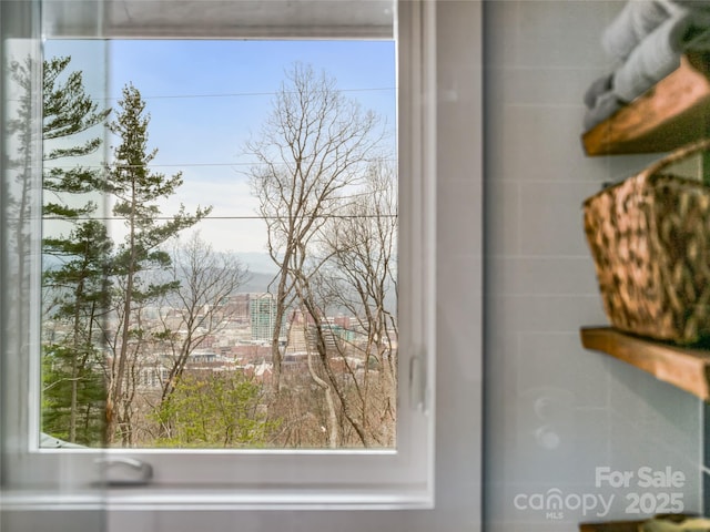 322 Windswept Dr, Asheville, NC 28801 - view of room details