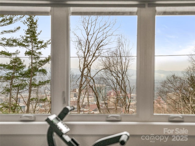 322 Windswept Dr, Asheville, NC 28801 - view of details
