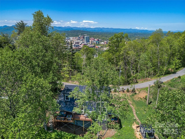 322 Windswept Dr, Asheville, NC 28801 - bird's eye view with a view of trees and a mountain view