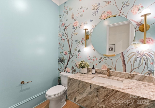 300 Mammoth Oaks Dr, Charlotte, NC 28270 - bathroom with wood finished floors, vanity, and toilet