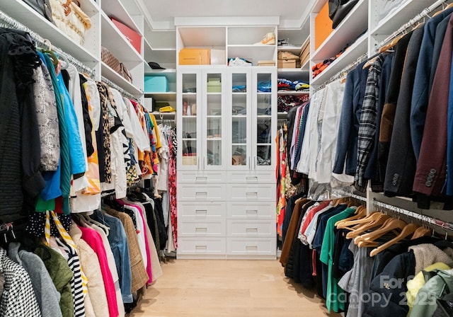300 Mammoth Oaks Dr, Charlotte, NC 28270 - walk in closet featuring light wood finished floors