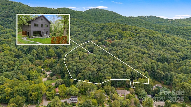 47 Webb Cove Rd, Asheville, NC 28804 - drone / aerial view with a mountain view and a forest view