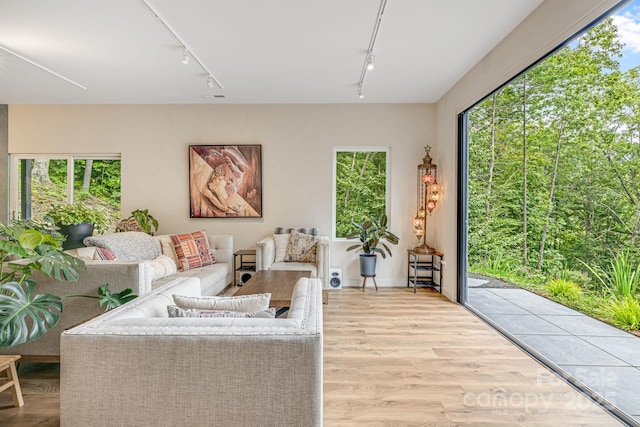 47 Webb Cove Rd, Asheville, NC 28804 - living area featuring track lighting and wood finished floors