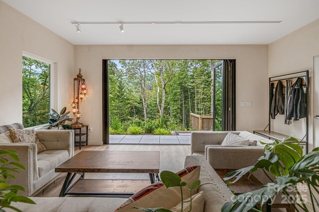 47 Webb Cove Rd, Asheville, NC 28804 - living room with plenty of natural light and wood finished floors