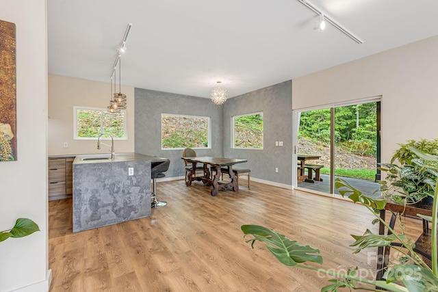 47 Webb Cove Rd, Asheville, NC 28804 - interior space with light wood finished floors, track lighting, and a sink