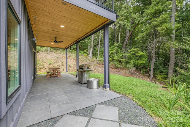 47 Webb Cove Rd, Asheville, NC 28804 - view of patio / terrace with area for grilling and a ceiling fan