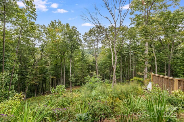 47 Webb Cove Rd, Asheville, NC 28804 - view of landscape featuring a forest view