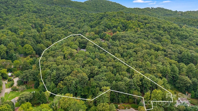 47 Webb Cove Rd, Asheville, NC 28804 - birds eye view of property featuring a forest view