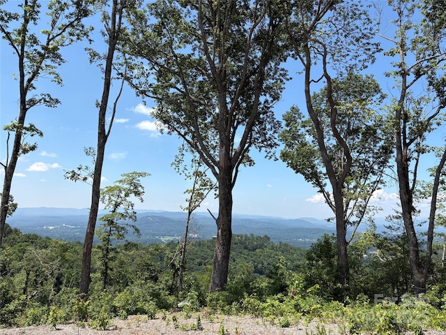 LOT50 Mountain Grove Ln Unit 50, Fletcher, NC 28732 - photo 1