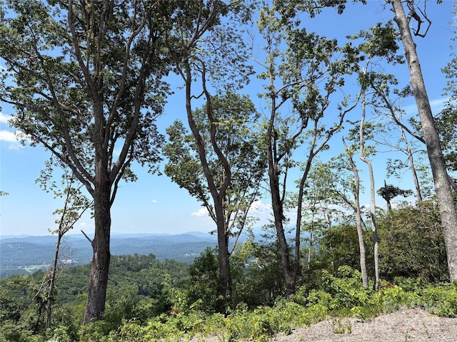 LOT50 Mountain Grove Ln Unit 50, Fletcher, NC 28732 - photo 2