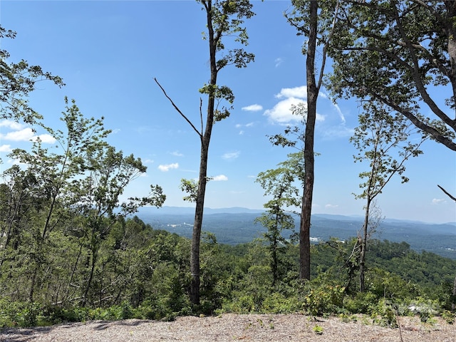 LOT50 Mountain Grove Ln Unit 50, Fletcher, NC 28732 - photo 3