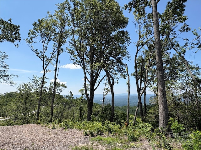 LOT50 Mountain Grove Ln Unit 50, Fletcher, NC 28732 - photo 4