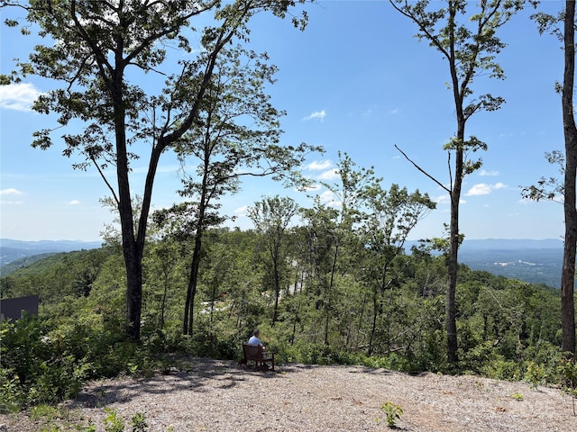 LOT50 Mountain Grove Ln Unit 50, Fletcher, NC 28732 - photo 5