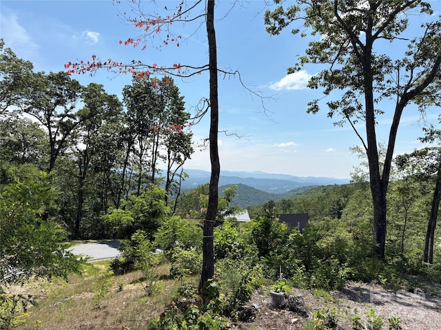 LOT50 Mountain Grove Ln Unit 50, Fletcher, NC 28732 - photo 6