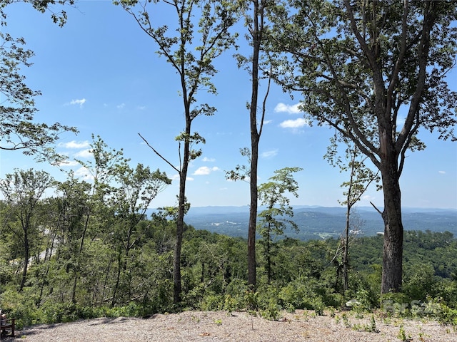 LOT50 Mountain Grove Ln Unit 50, Fletcher, NC 28732 - photo 7