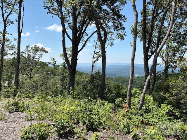 LOT50 Mountain Grove Ln Unit 50, Fletcher, NC 28732 - photo 8