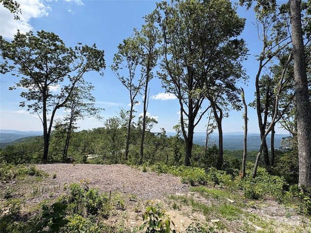LOT50 Mountain Grove Ln Unit 50, Fletcher, NC 28732 - photo 9
