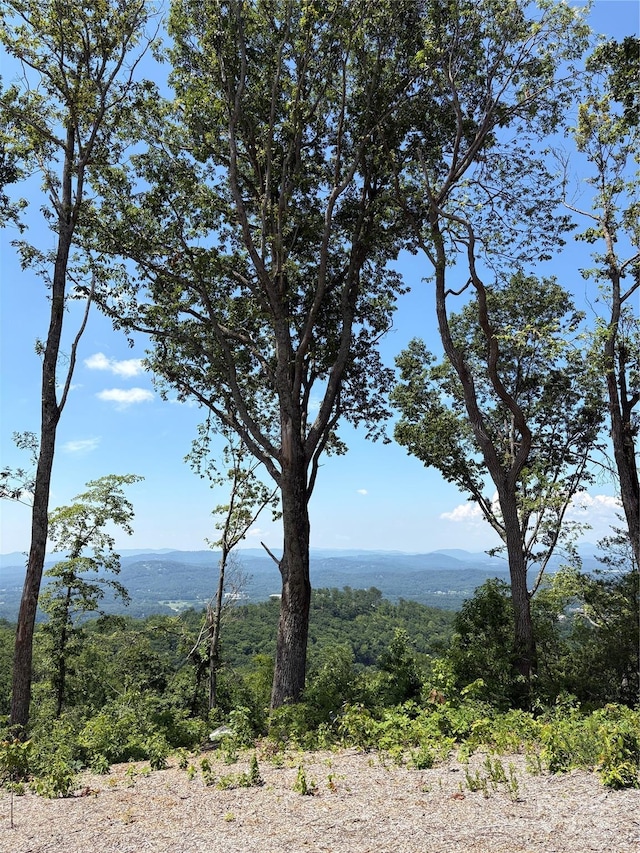 LOT50 Mountain Grove Ln Unit 50, Fletcher, NC 28732 - photo 10
