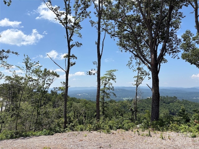 LOT50 Mountain Grove Ln Unit 50, Fletcher, NC 28732 - photo 12